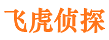 通江婚外情调查取证